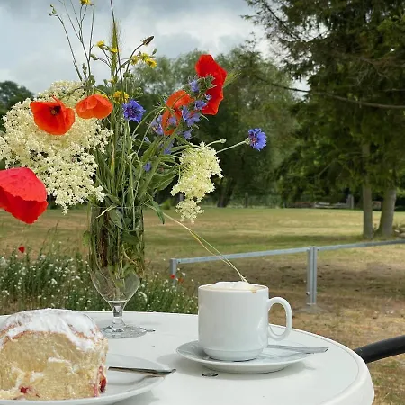 Appartamento Der Westfluegel Knappe Gerhard *